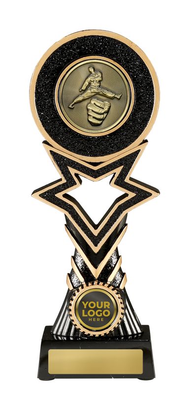 Martial Arts Trophy 295mm